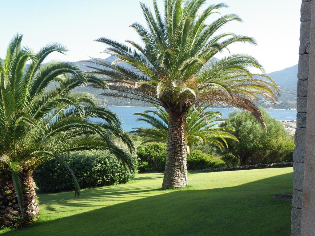 Marina Di Fiori Apartamento Propriano  Exterior foto