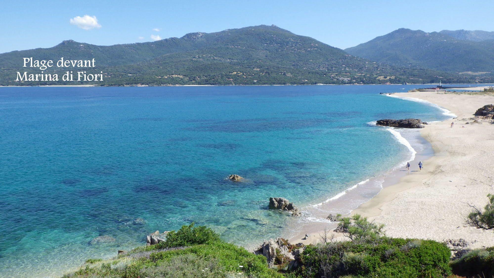 Marina Di Fiori Apartamento Propriano  Exterior foto